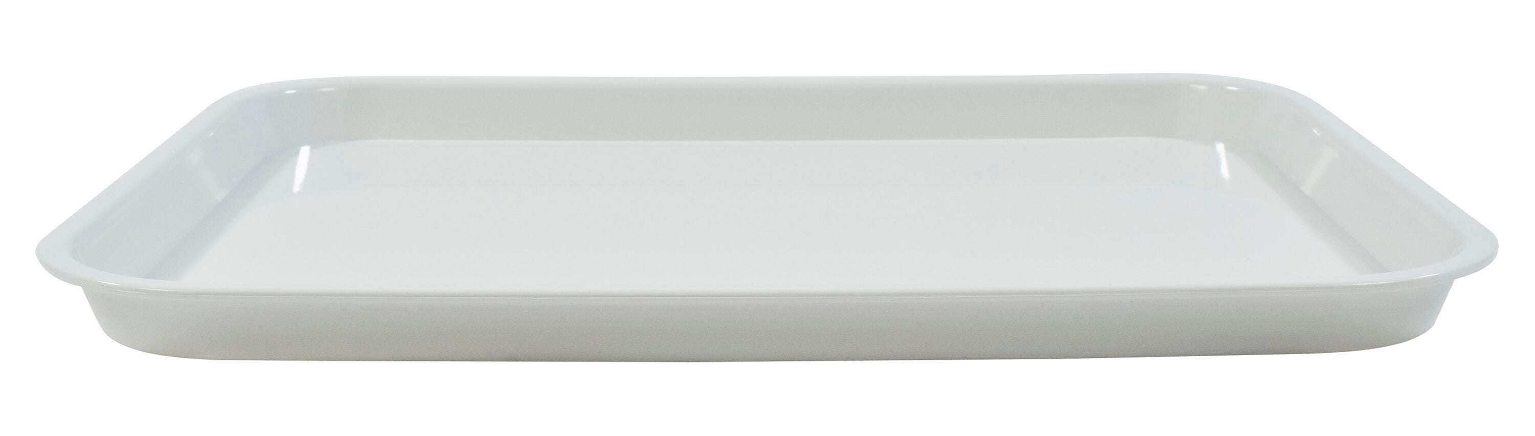 PAINT TRAY - SCHOOL SMART - RECTANGLE - 10 X 12-1/2 X 1/2 INCH