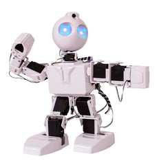 EZ-ROBOT - JD-HUMANOID KIT