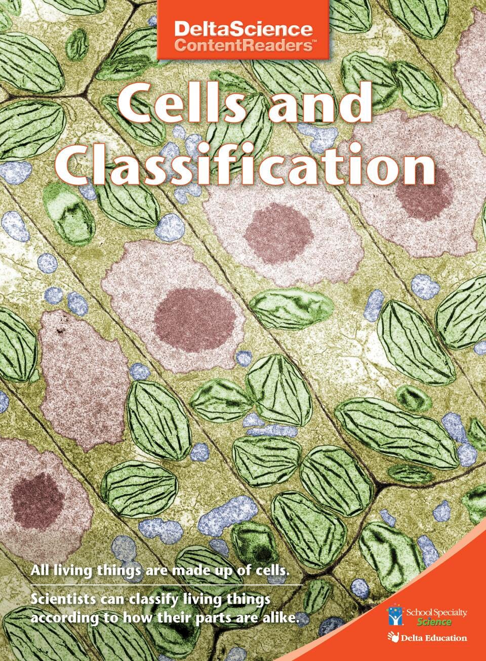 RDR DSCR CELLS AND CLASSIF RED P/8