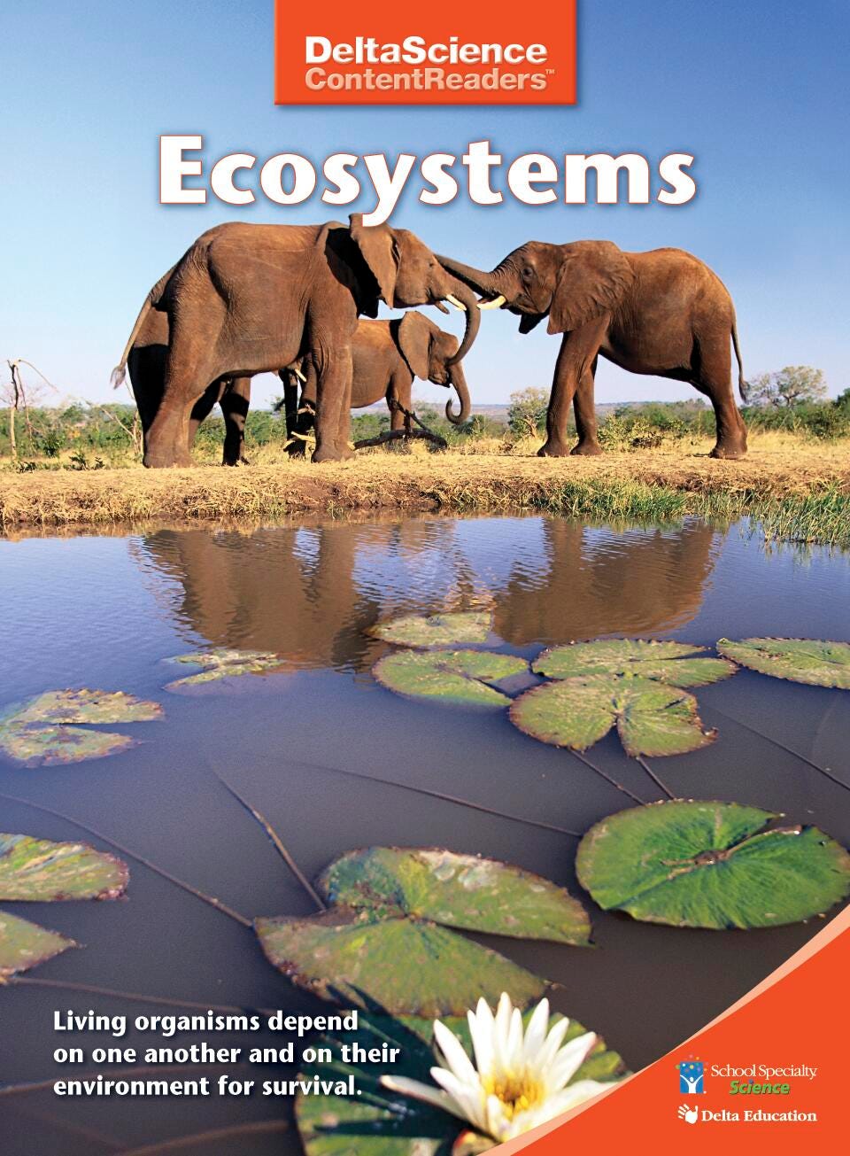 RDR DSCR ECOSYSTEMS RED P/8