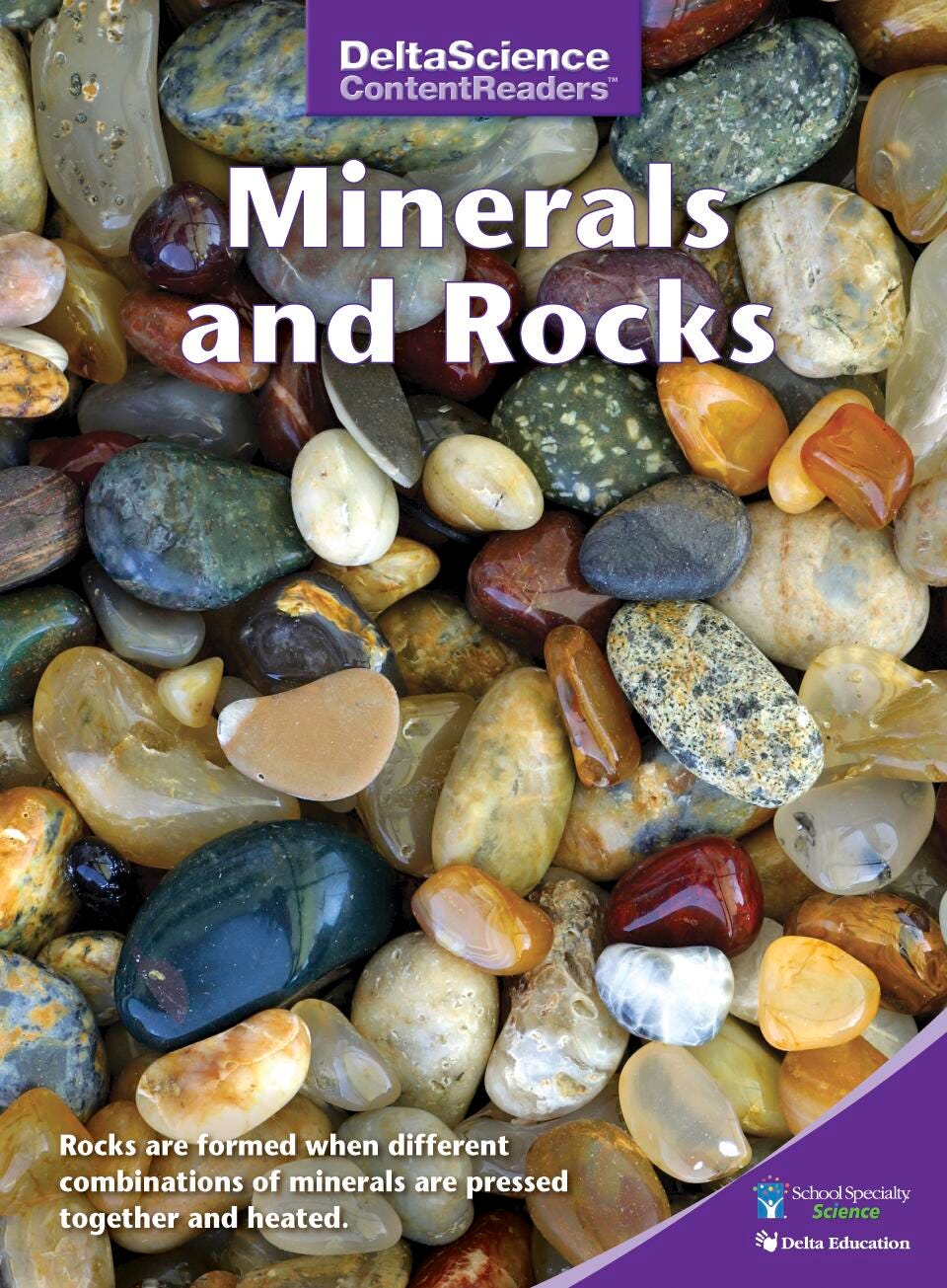 RDR DSCR MINERAL ROCK+FOSSILS PURPLE P/8