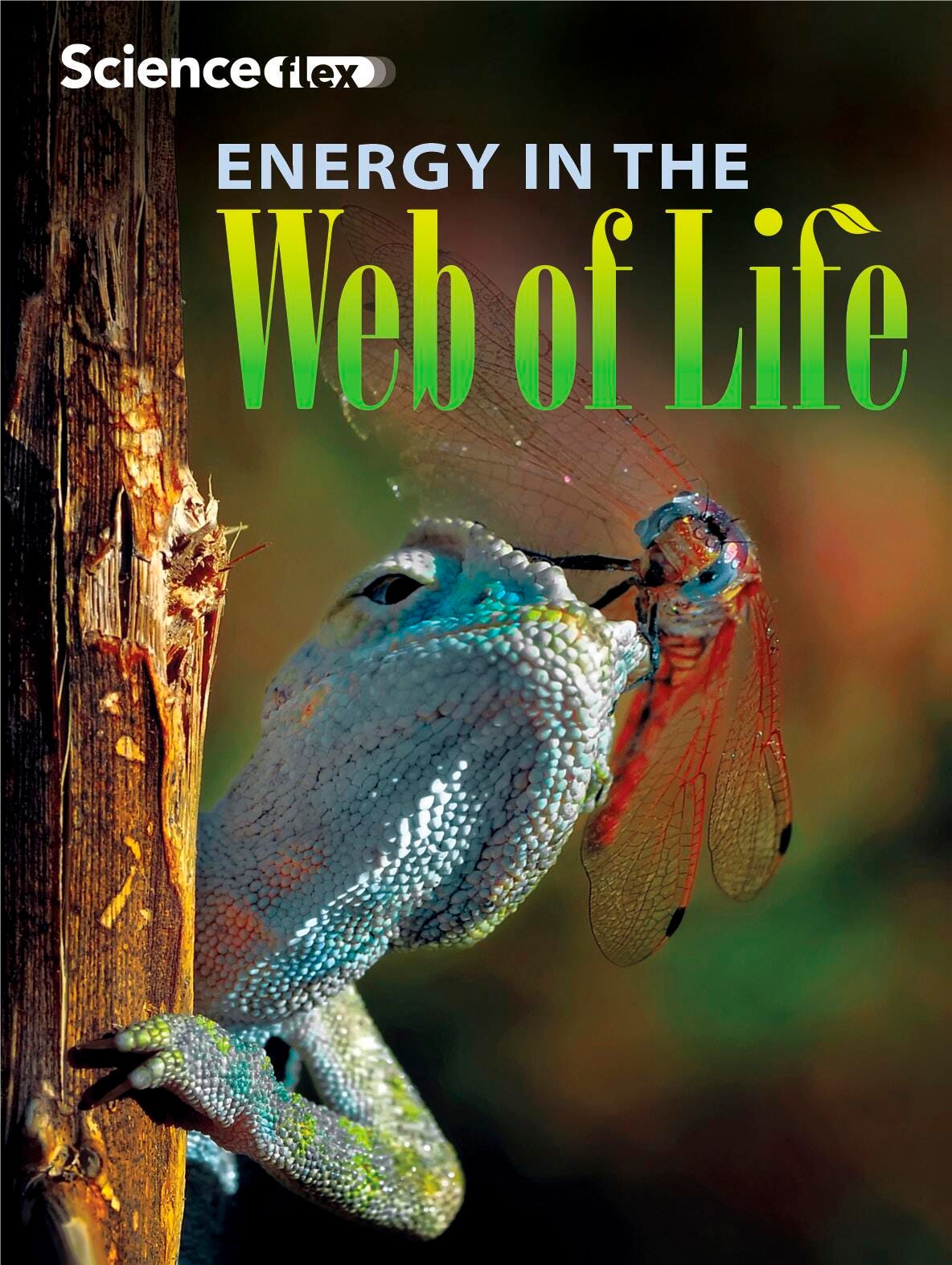 RDR PURPL SCIFLEX ENRGY+WEB OF LIFE PK/4