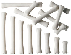 MEASURE - DINOSAUR MEASURE BONES S/16