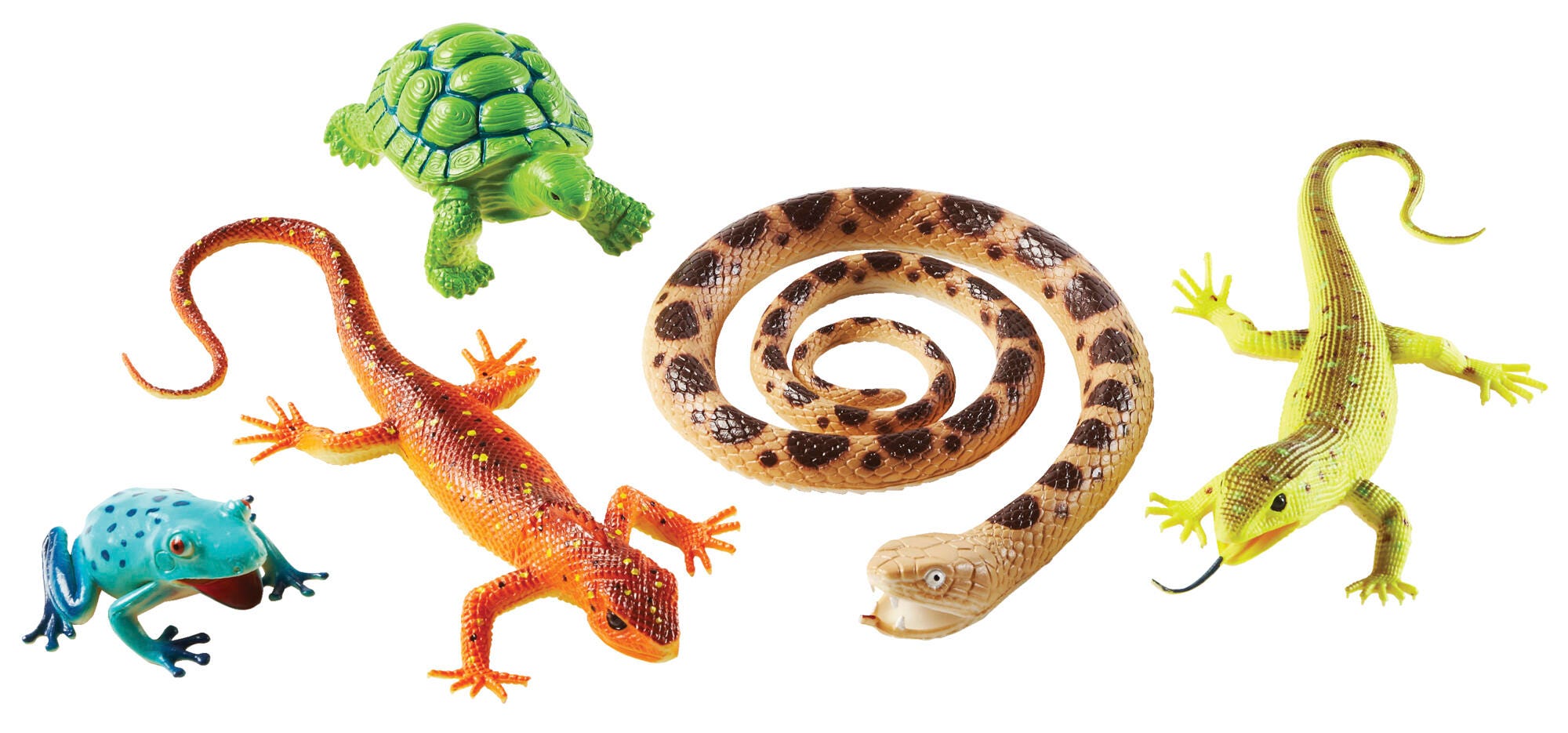 JUMBO REPTILES AND AMPHIBIANS - SET OF 5