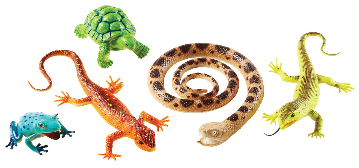 JUMBO REPTILES AND AMPHIBIANS - SET OF 5