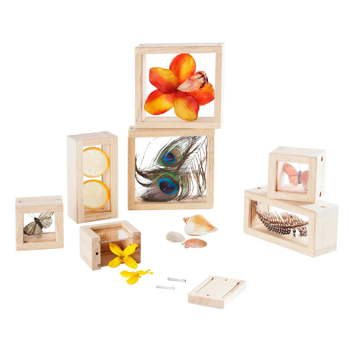 TREASURE BLOCKS