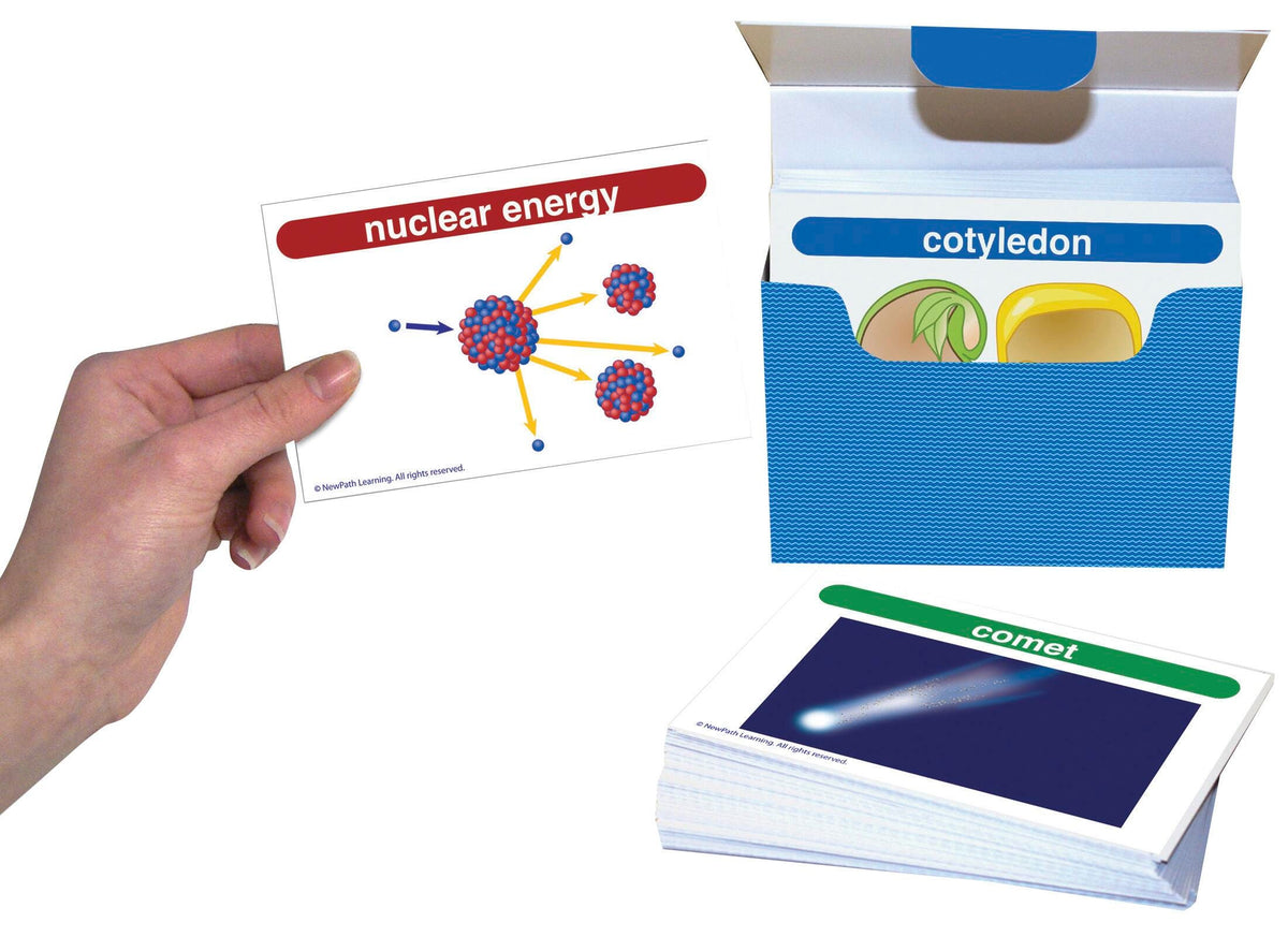 DISC-FLASH CARDS GRADES 3-5 SCIENCE VOCAB