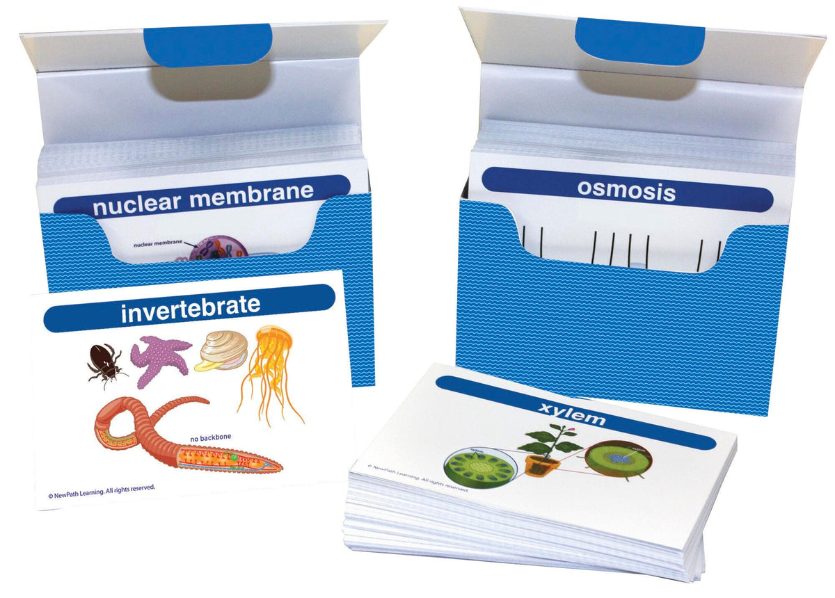 DISC-FLASH CARDS MS LIFE SCIENCE VOCAB