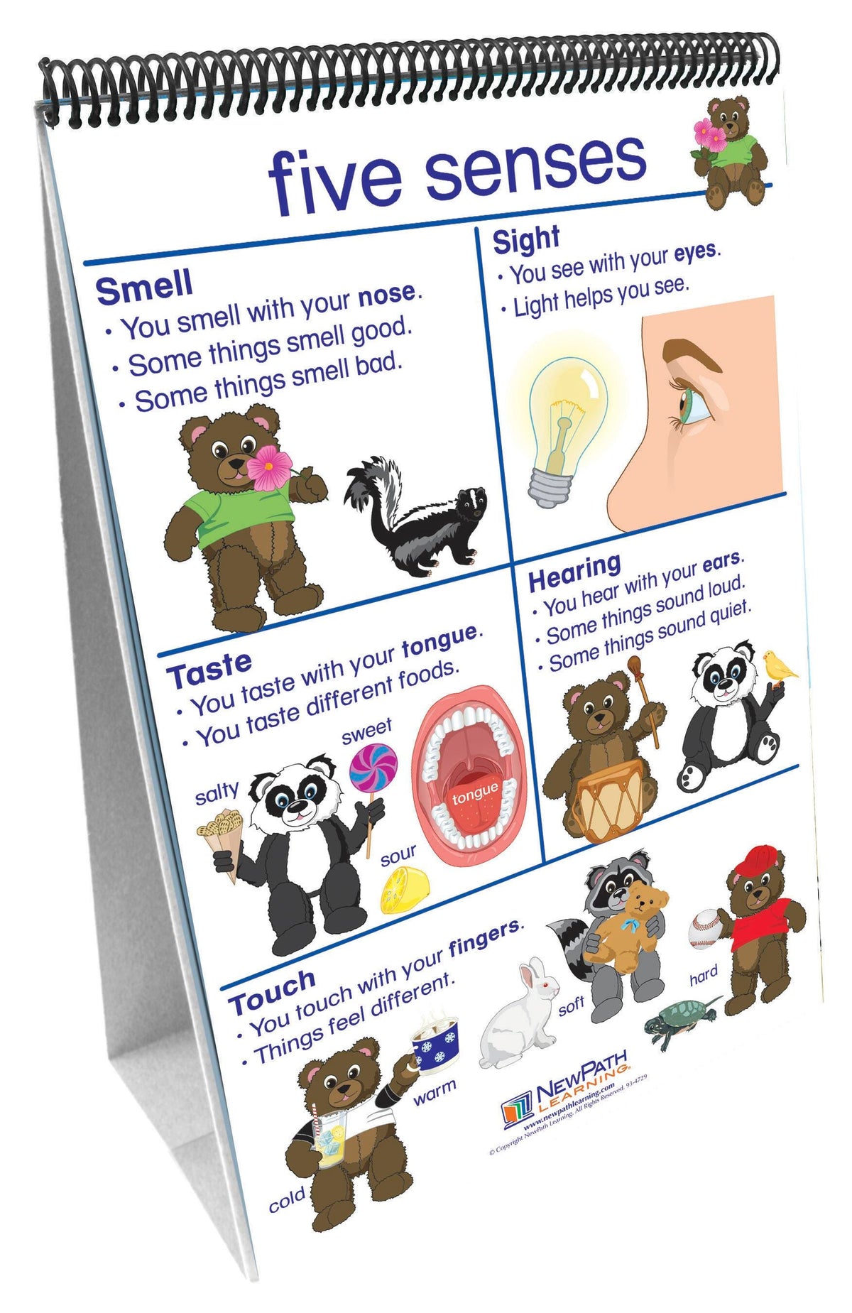 DISC-NEWPATH LEARNING - FLIP CHART - ALL ABOUT ME  CURRICULUM SET - GRADES PREK-2