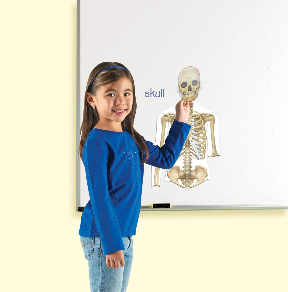 MAGNETIC HUMAN BODY