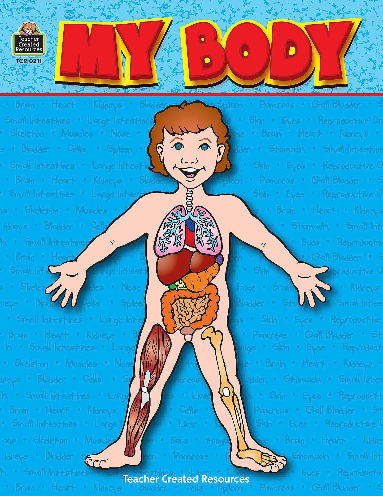 MY BODY