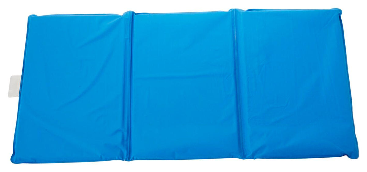 CHILDCRAFT PREMIUM REST MAT 3 FOLD - 2 INCH - RED AND BLUE