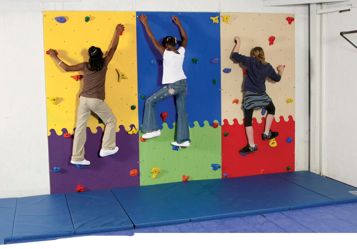 CLIMBING WALL EDUCATION PURPLE AND YELLOW