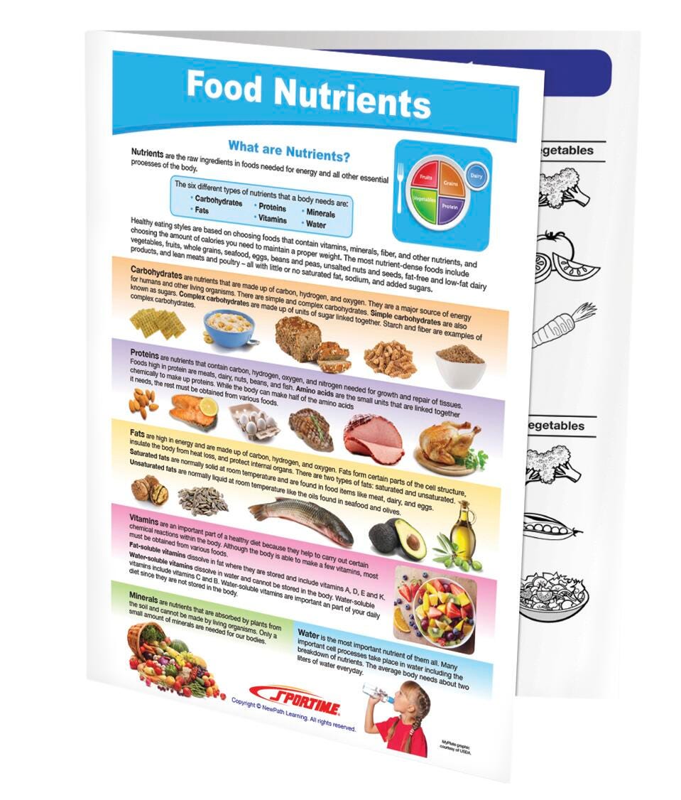 DISC-FOOD NUTRIENTS VISUAL G5-9