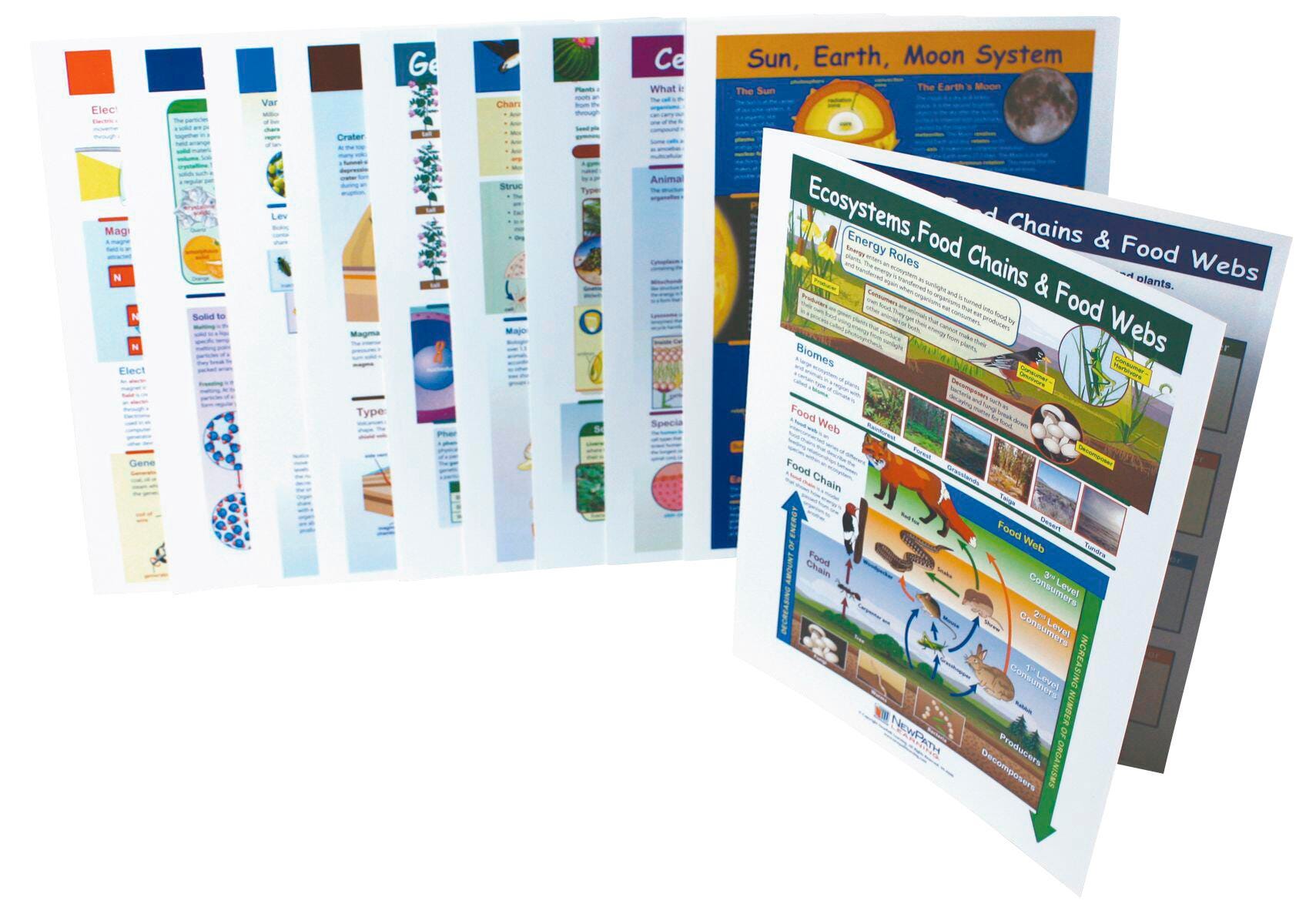 DISC-GUIDES VIS LEARN GRADE 6 SCIENCE S/10