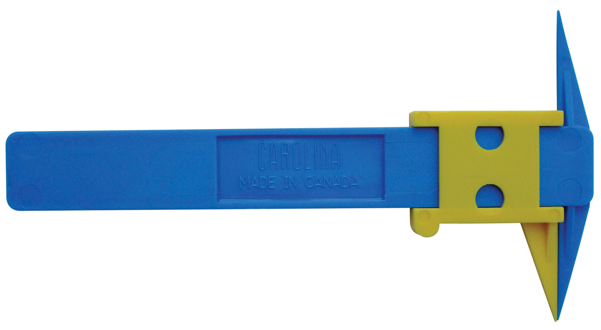 DISC-TWO POINT TOUCH DISCRIMINATOR