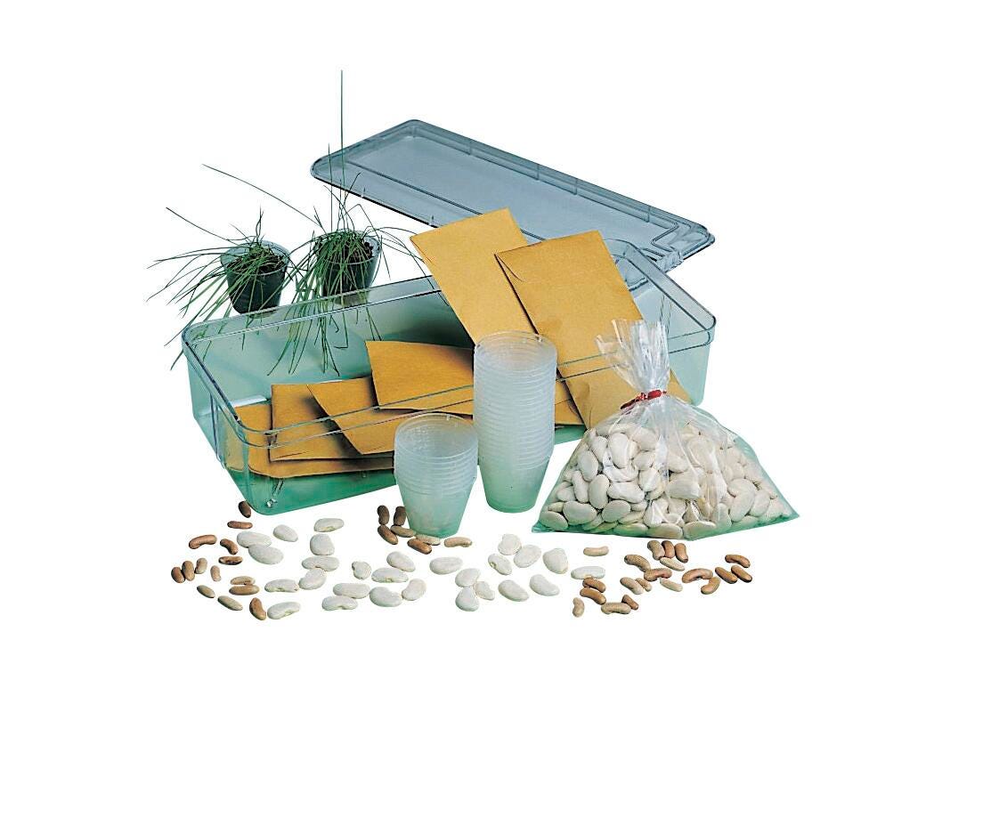 SEEDS ASSTD 8 TYPES 1 SET