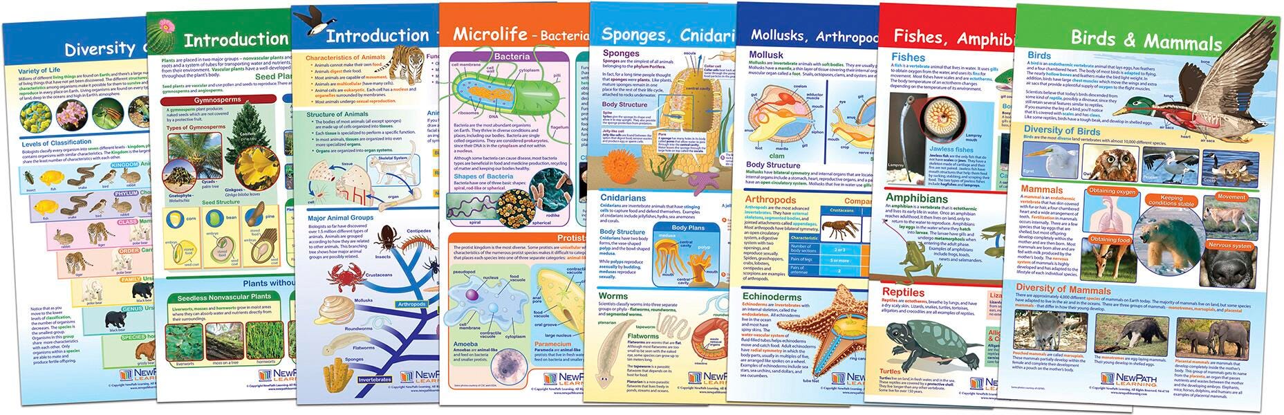 DISC-CHARTS BB MS DIVERSITY OF LIFE SET/8
