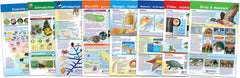 DISC-CHARTS BB MS DIVERSITY OF LIFE SET/8
