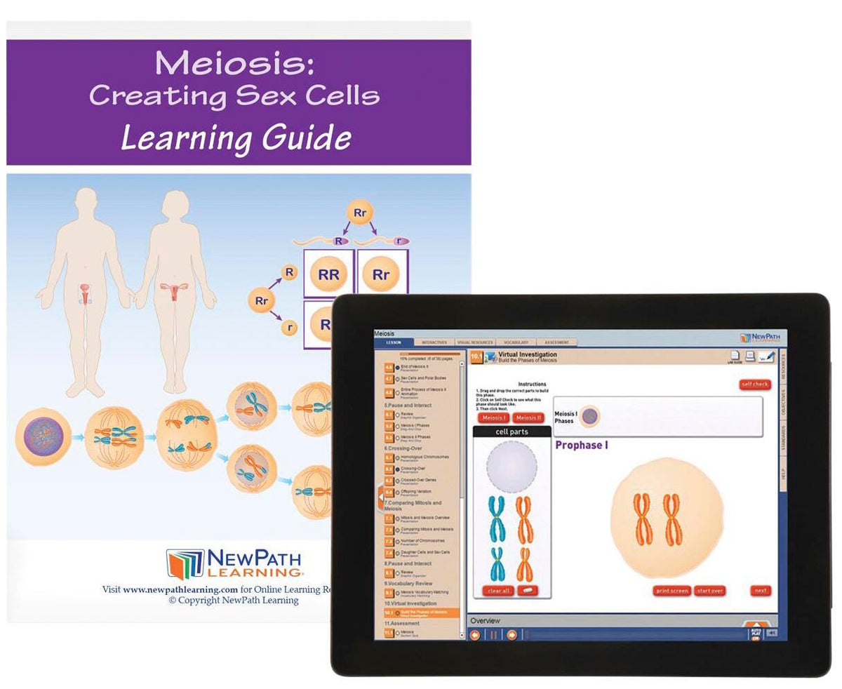 DISC-MEIOSIS GUIDE W/ ONLINE