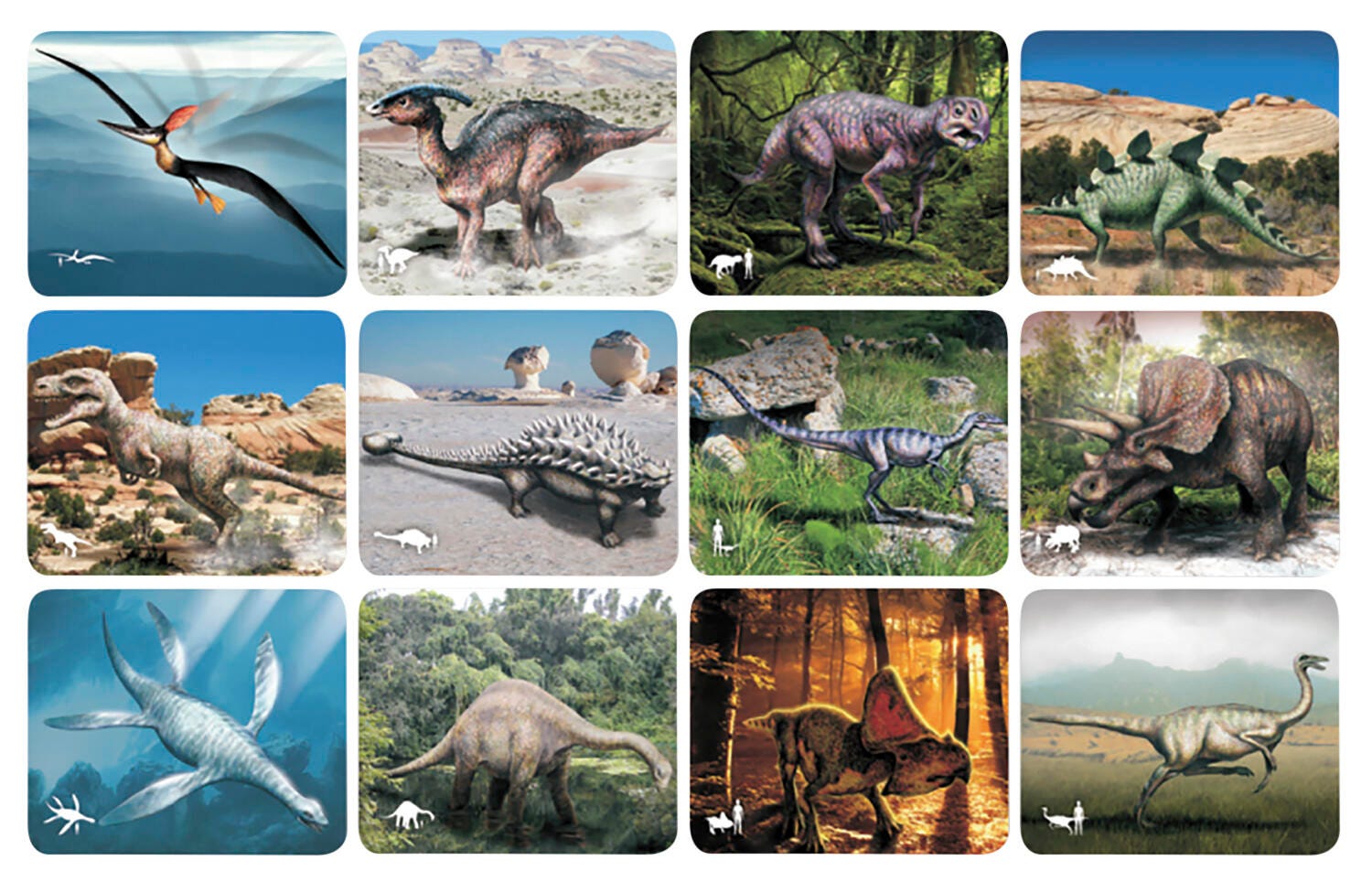 DISC-ROYLCO DISCOVER DINOSAURES PICTURE CARDS AND X-RAY