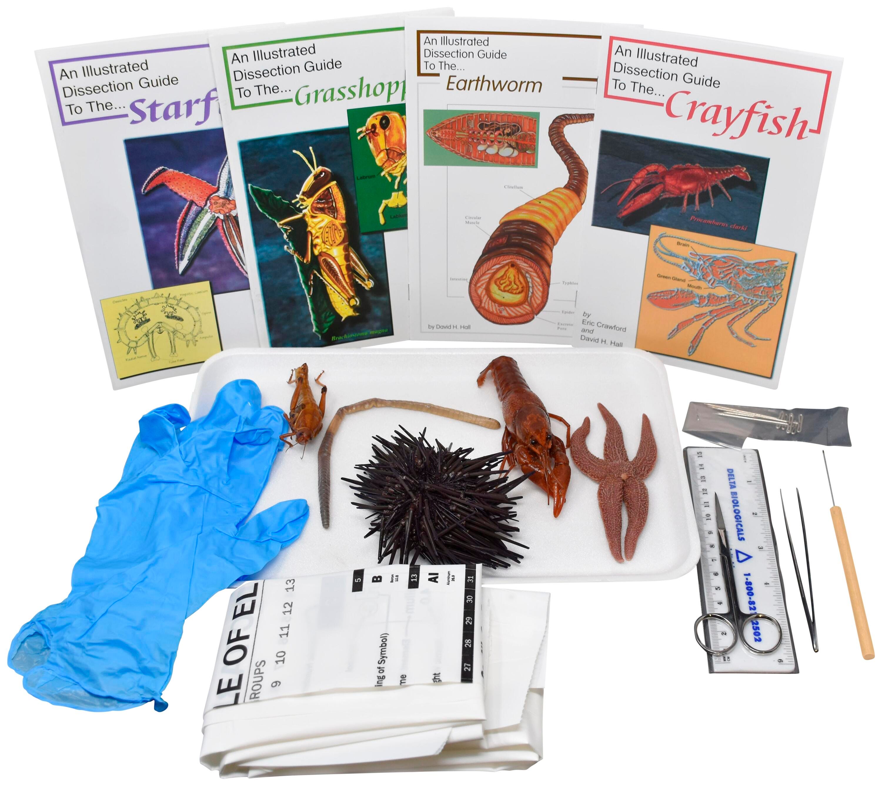 BASIC ZOOLOGY DISSECTION KIT WITH DISSECTION TOOLS