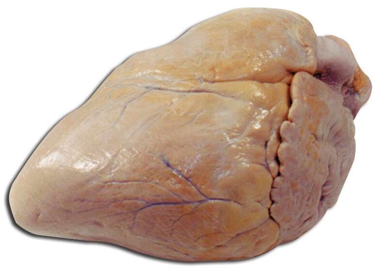 PIG HEART - PLAIN - VAC PACK OF 10