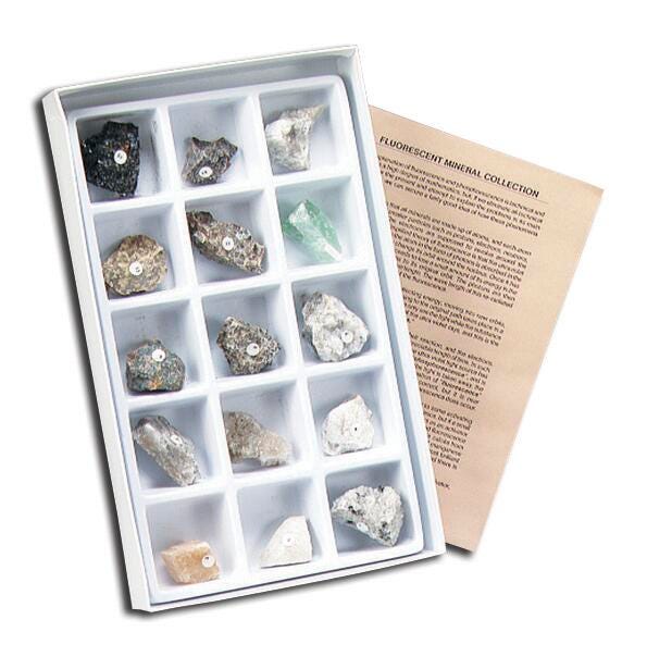 ROCK COLLECTION FLUORESCENT