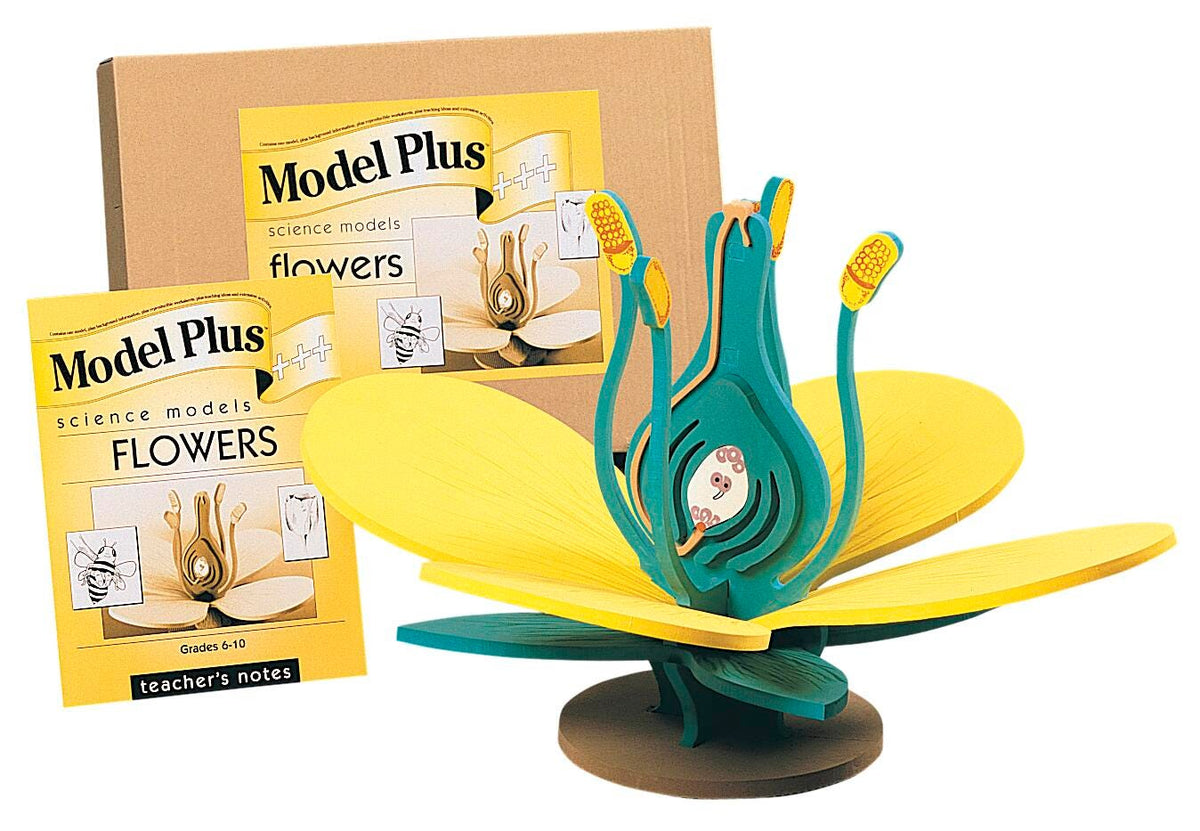 FLOWER MODEL PLUS EA
