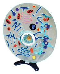 MODEL ANIMAL CELL EA