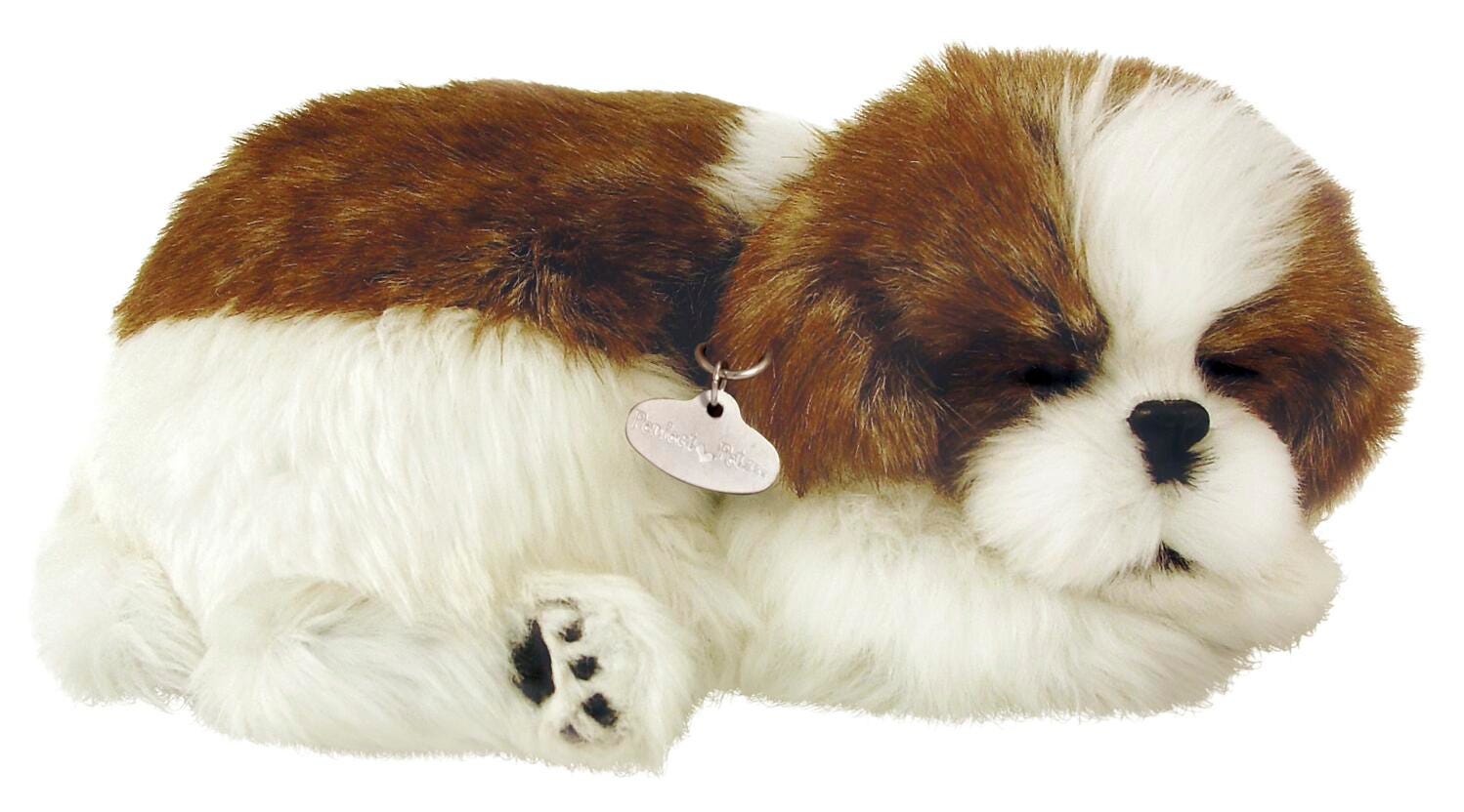 PERFECT PETZZZ SHIH TZU