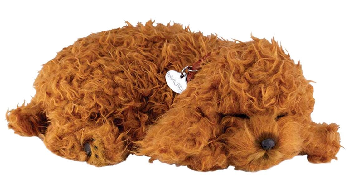 PERFECT PETZZZ TOY POODLE