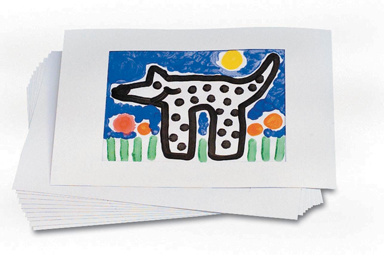 BOARD MAT FRAME PRECUT MAT 22X17IN WINDOW 12X18IN PK OF 12