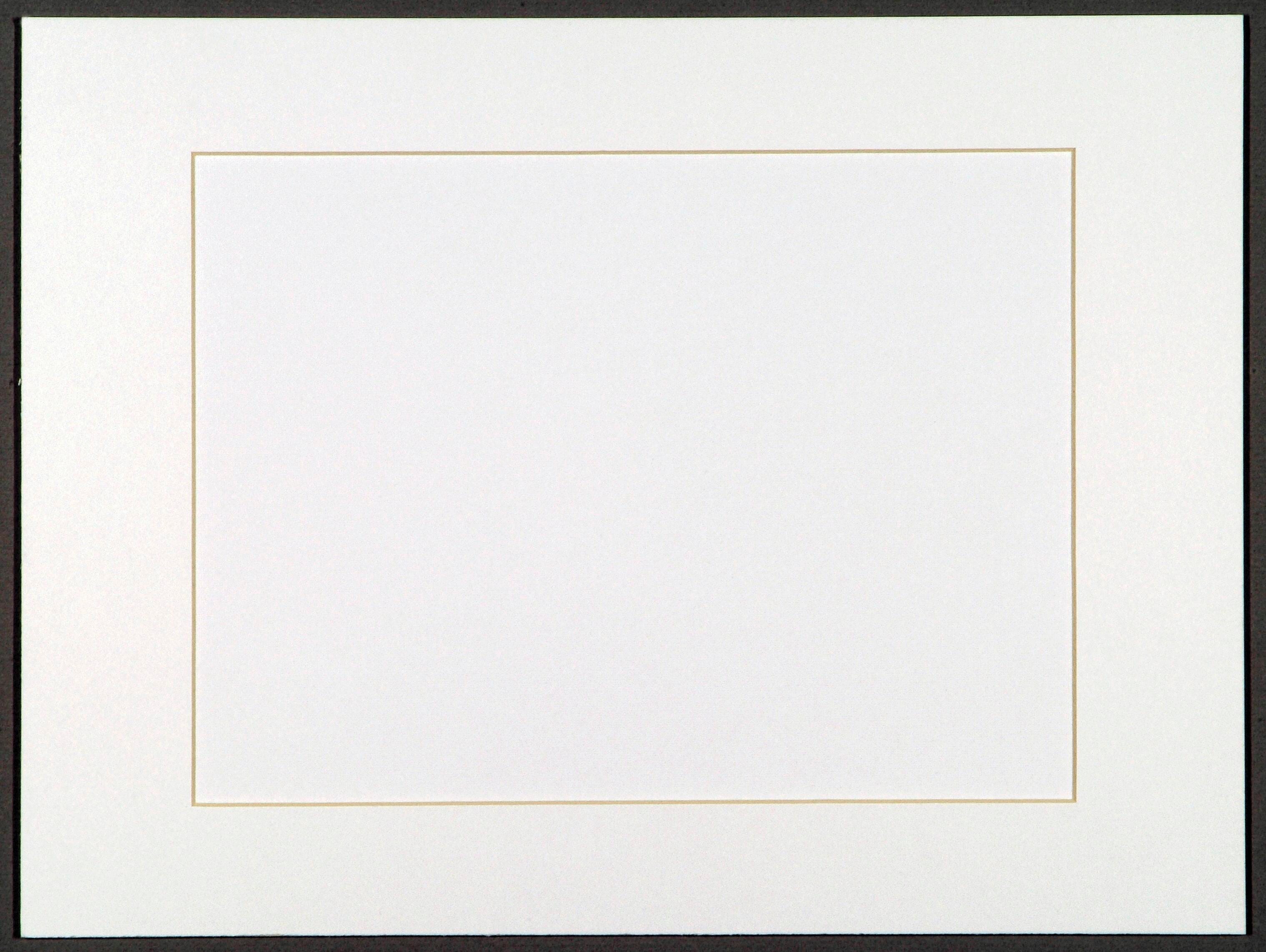 MATS PREMIUM PRECUT BRIGHT WHITE 16X20 PACK OF 10