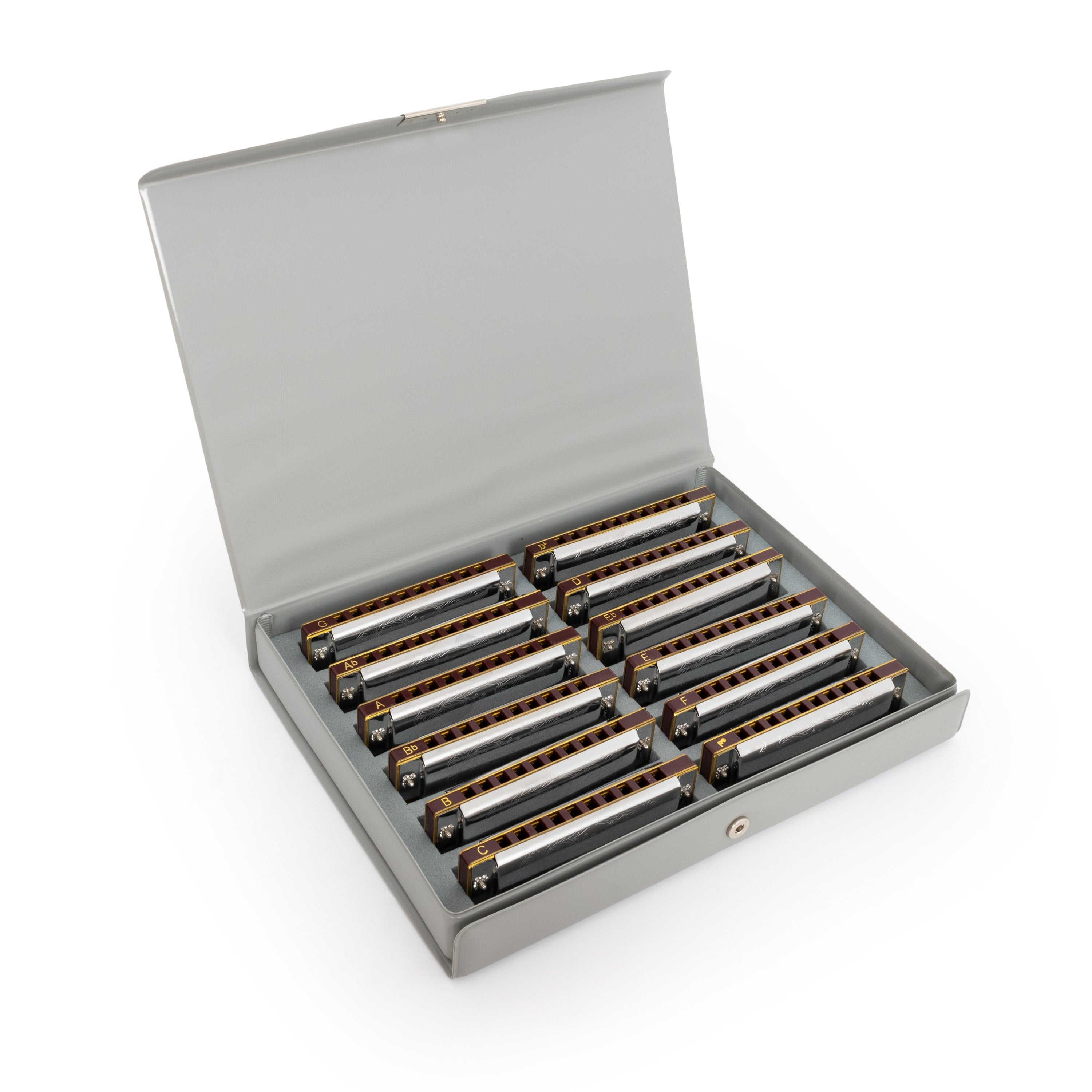 Suzuki Folkmaster set of 12 harmonicas