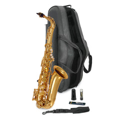 Trevor James Alphasax reduced key alto saxophone outfit