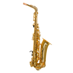 Trevor James Alphasax reduced key alto saxophone outfit