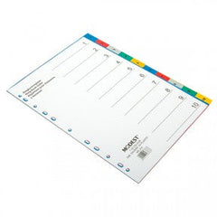 MODEST DIVIDER 10 Col Pvc W/N MS 210