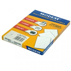 MODEST LASER LABELS 105 X 57 mm 10 L MS 90021