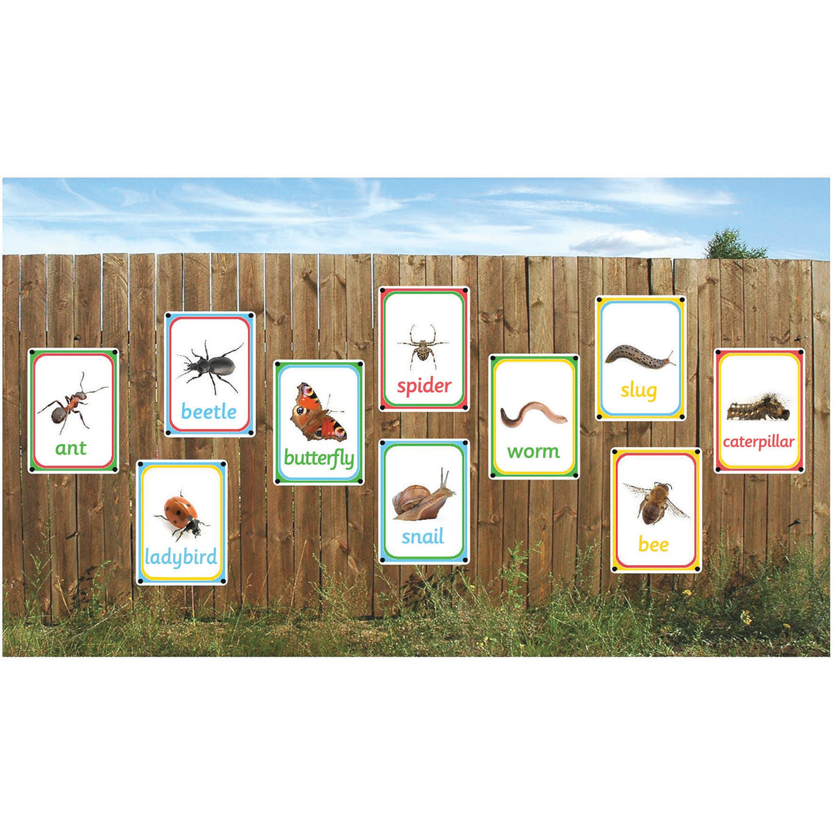 Creepy Crawlies Photo Outdoor Learni