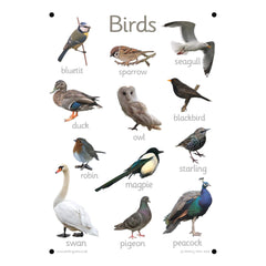 Nature Outdoor Learning Board Set