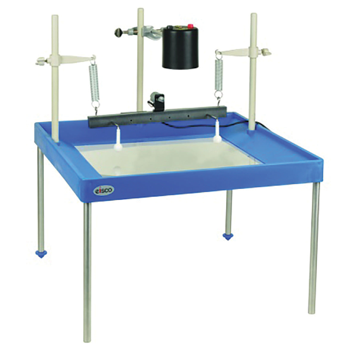 Economy Ripple Tank