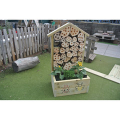 Bugs Life And Planter