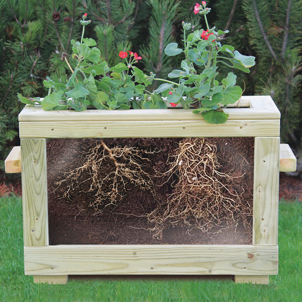 Watch Me Grow Planter