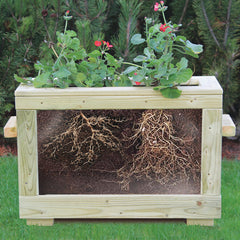 Watch Me Grow Planter