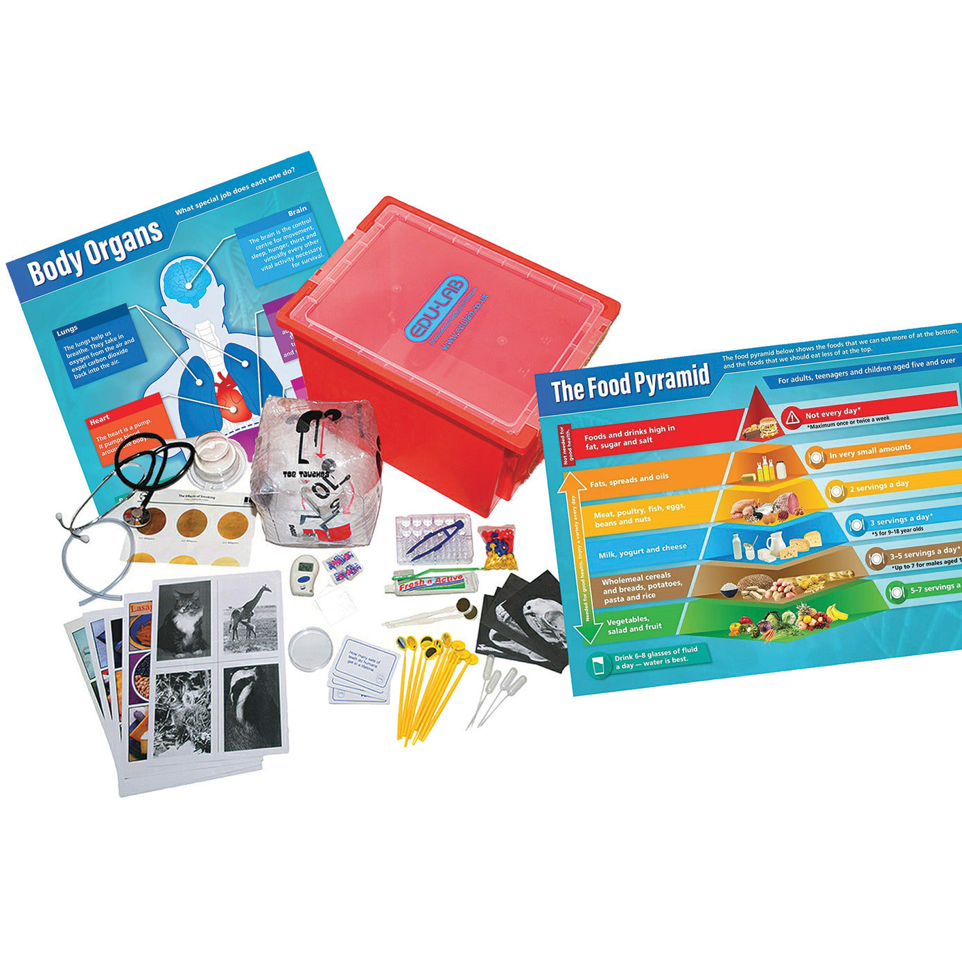 Pshe Activity Kit