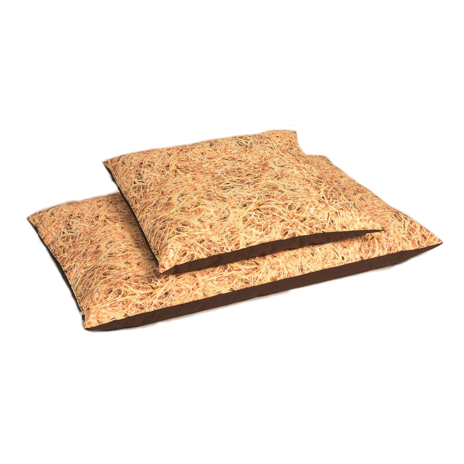 Bbag Cushion 750X750 Straw