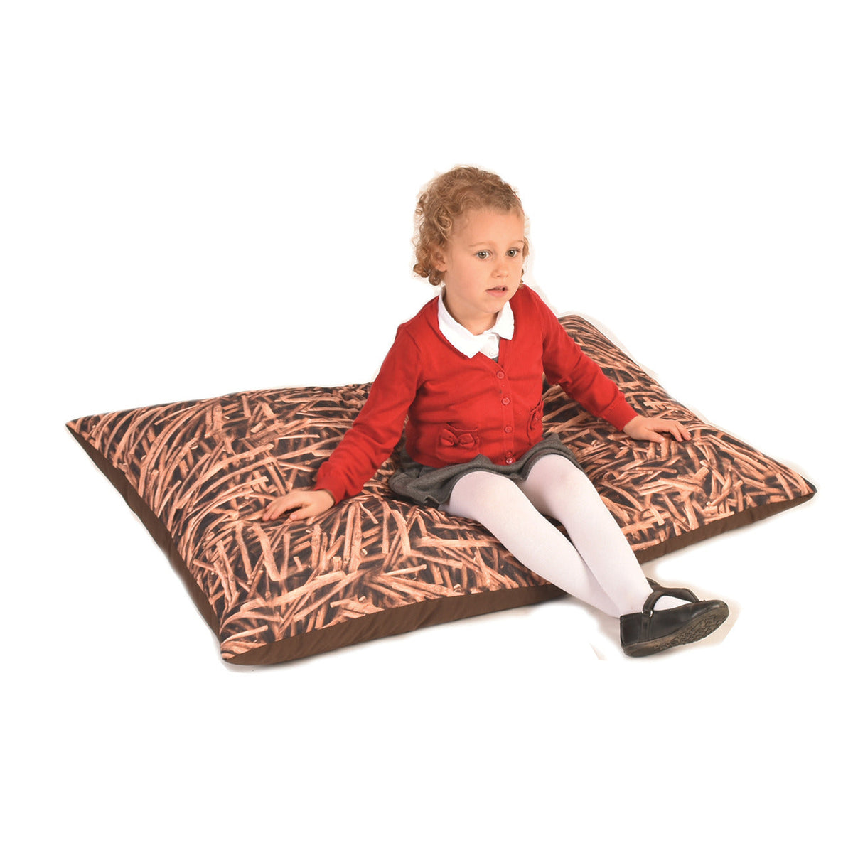 Bbag Cushion 1100X750 Twigs