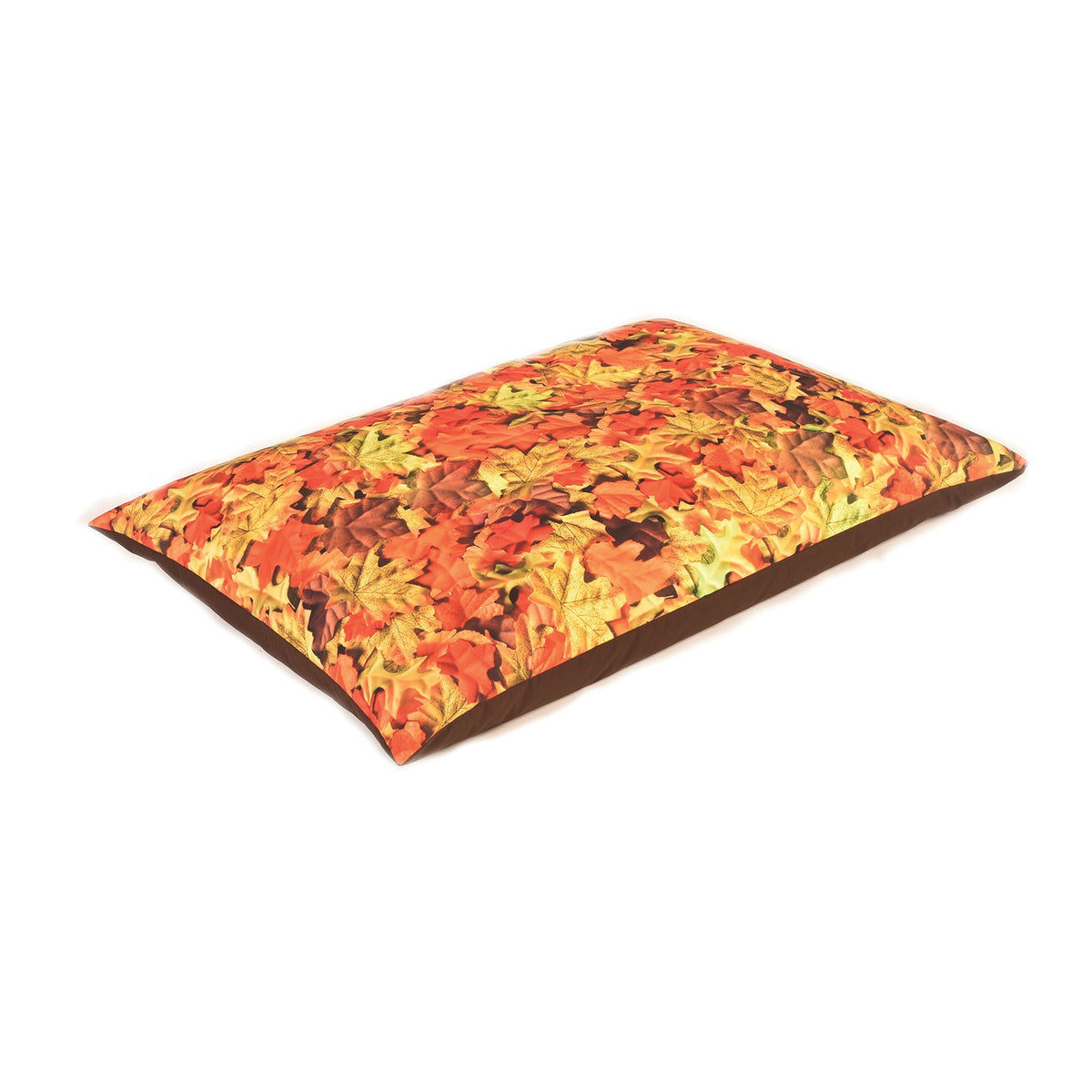 Bbag Cushion 1400X1000 Leaf