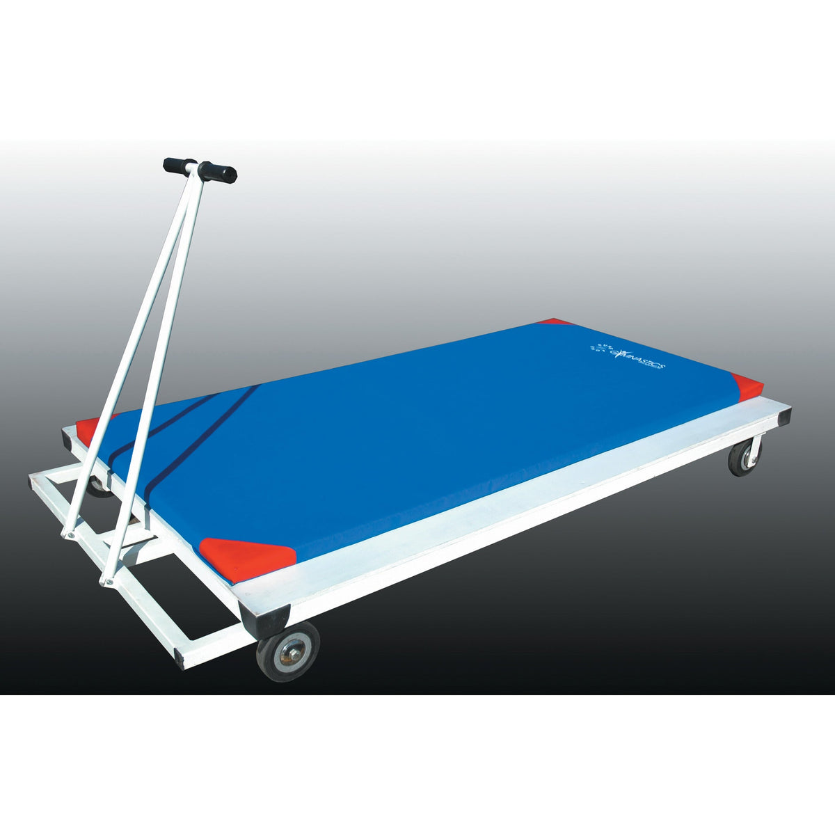 Trolley Mat Horizontal Heavy Duty